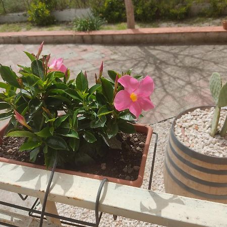 B&B Lara Santola Corato Luaran gambar